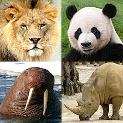 Animals Quiz Learn All Mammals MOD